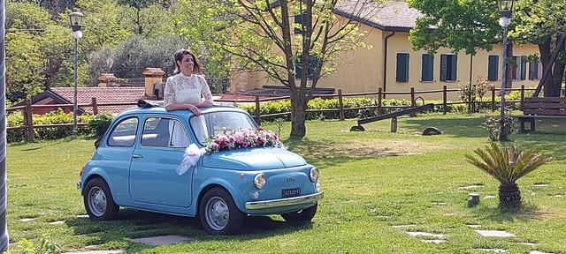 La Viola... e il Pensiero - 3