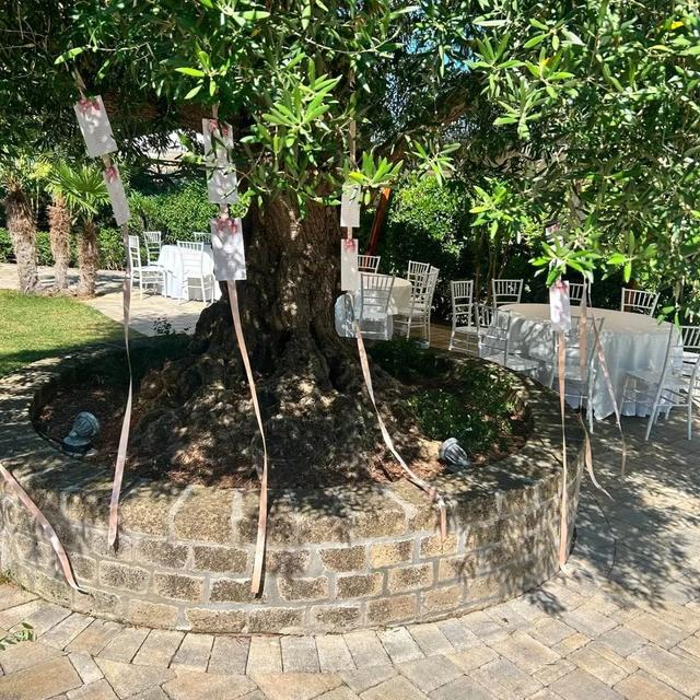 Villa Bianca - 1
