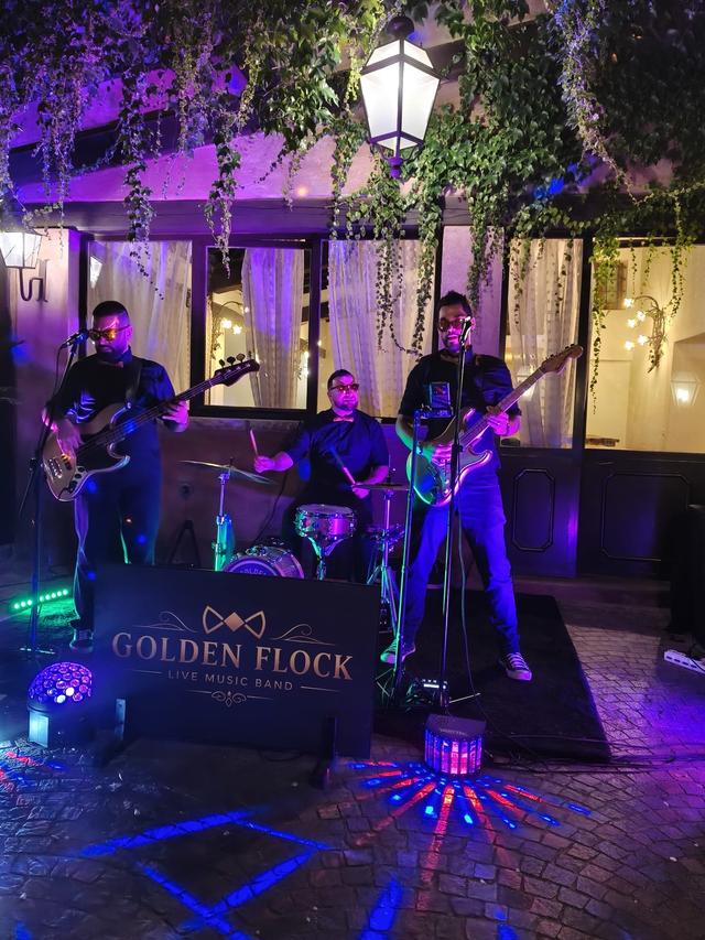 Golden Flock - 2
