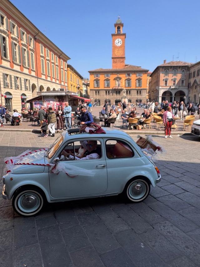 The Wedding Beetle - 2