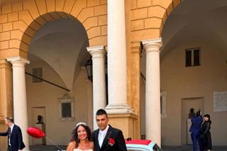 The Wedding Beetle - 6