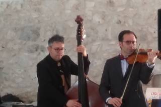 Crazy Violin Armonic - 4