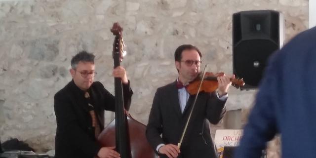Crazy Violin Armonic - 1