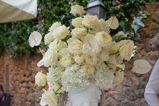 Dolci Momenti - 5