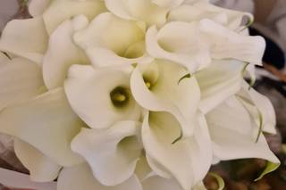 I Fiori di Angelica - 12