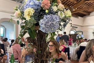 Tenuta S.Antonio - 20