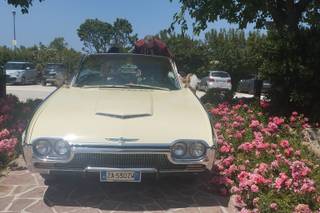 Privilegio - Decapottabile Ford T- Bird Roadster 63 - Cadillac 59 - 11