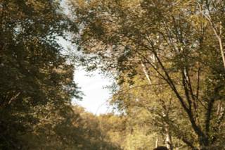 Camilla Cestaro Photography - 5