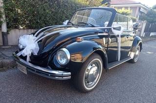 Matrimonio in Maggiolino - 7