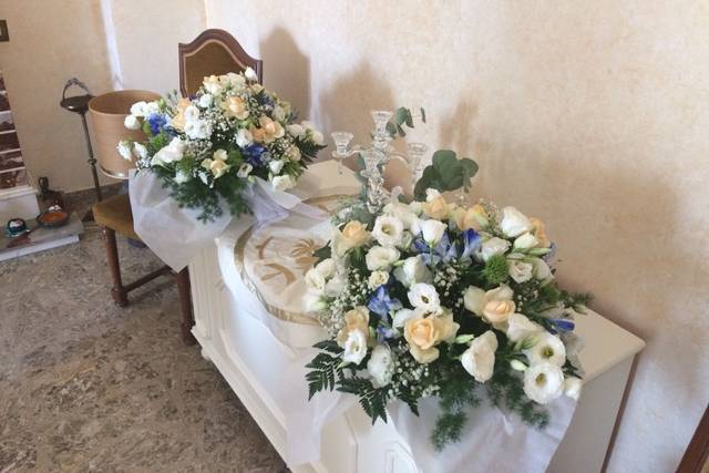 Piante e Fiori di Varricchio Silvio 3