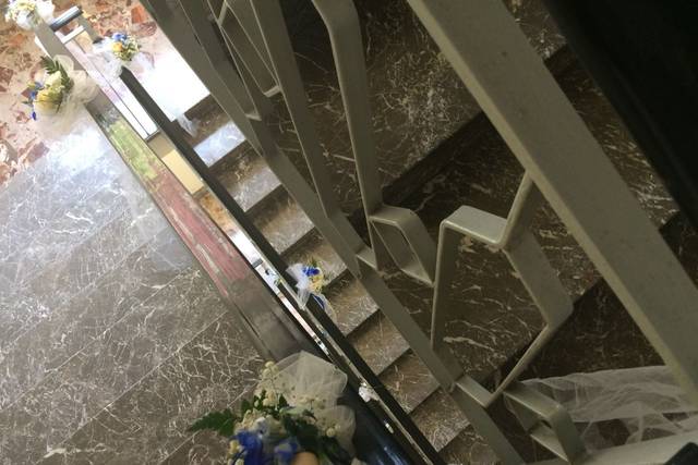 Piante e Fiori di Varricchio Silvio 5