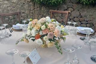 Paper Design & Co - 6