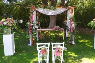 Art & Nature Designer - 10