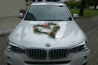 Sissi Art and Flowers - 13