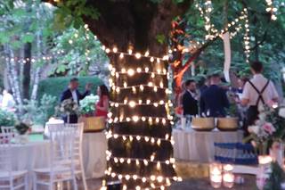 Erbavoglio Catering - 12