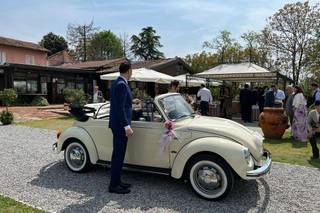 Live a Dream Limousine - 11