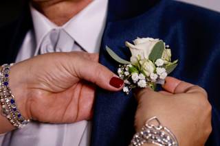 Ferretti il Giardino di Venere - 6