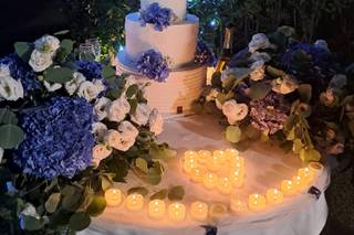 Bianchi Fiori e Piante - 18