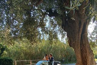 Il Maggiolino di Federico - 18