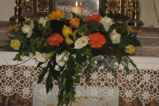 Fioreria D'Anna - 14