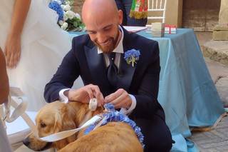 Bianchi Fiori e Piante - 19