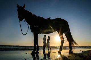 Bernile Fotografi - 8