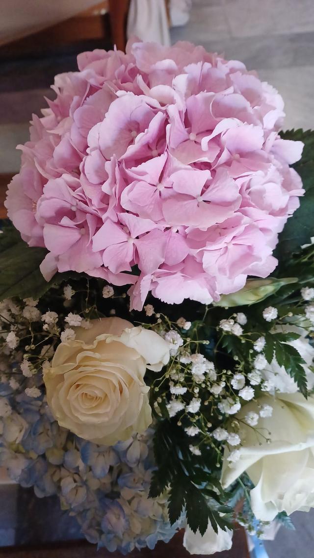 Bottega dei fiori - 2