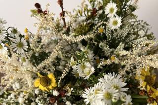 La fatina dei fiori - 7