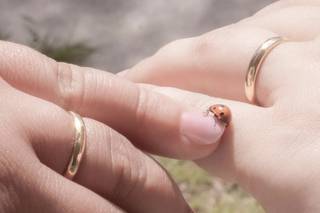 Oreficeria Belmonte - 3