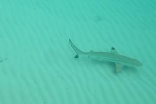 Luisa Tonon - Consulente di viaggi - 11