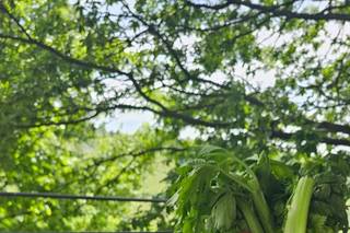 I Love My Kitchen - 9