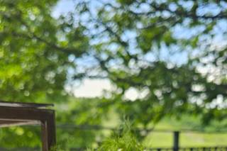 I Love My Kitchen - 10