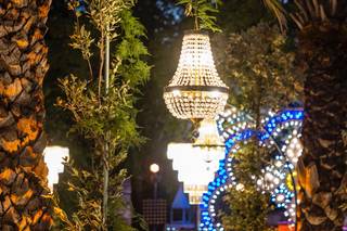 Dibenedetto Light Design - 5