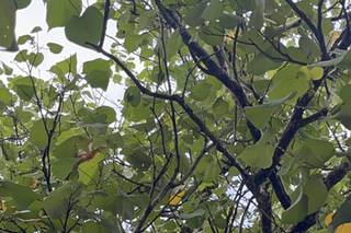 Luisa Tonon - Consulente di viaggi - 13