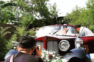 Auto e Fiori Costa - 11