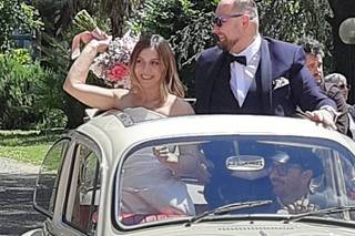 The Wedding Beetle - 14