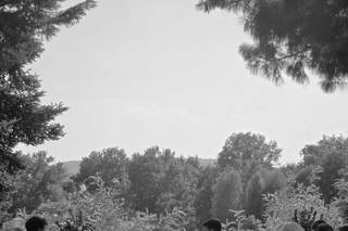 Creations Larusse - 22
