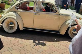 The Wedding Beetle - 15