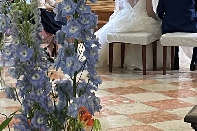 Fiordifiori 1