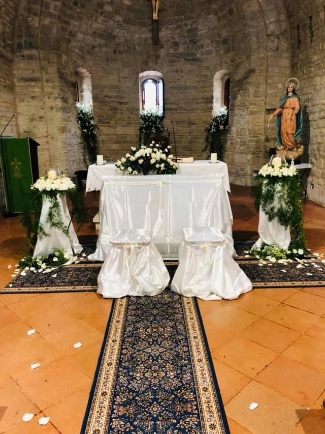 Piante e Fiori - 2