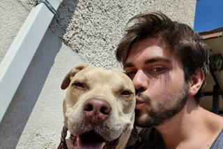 Scodinzolando Wedding Dog Sitter - 16