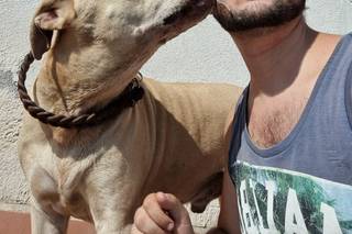 Scodinzolando Wedding Dog Sitter - 17