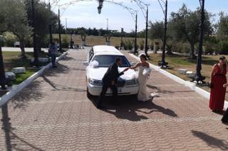 Lovercar - 3