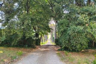 Villa La Costaglia By Castello Ricevimenti - 7