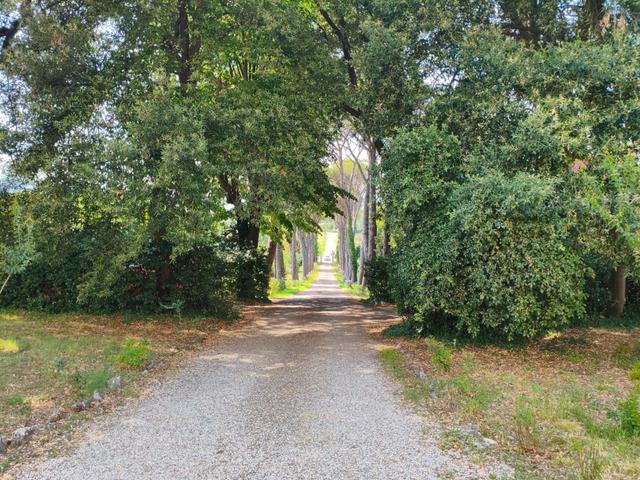 Villa La Costaglia By Castello Ricevimenti - 1