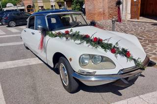 Fioreria l'Incanto - 9