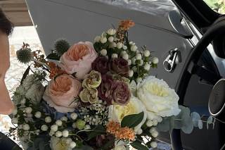 Flowers bl - 10