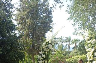 Da Thomas flower design - 12