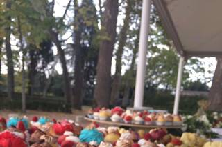 Siena Day - 11