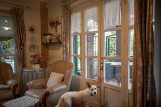 Danilo Garcia Di Meo - 11